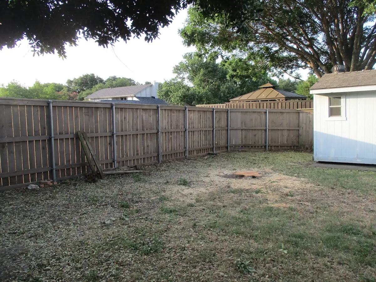 Cleared yard after professional tree removal in Lebanon